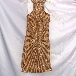 Diva Vibes Dress / Color: Blush / Size: M (No stretch)